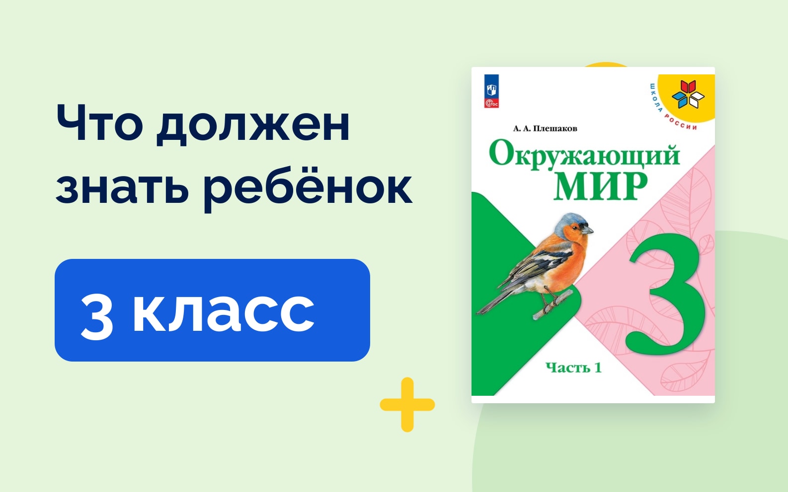 Что должен знать ребёнок: 3 класс. Учебник окружающего мира Плешакова