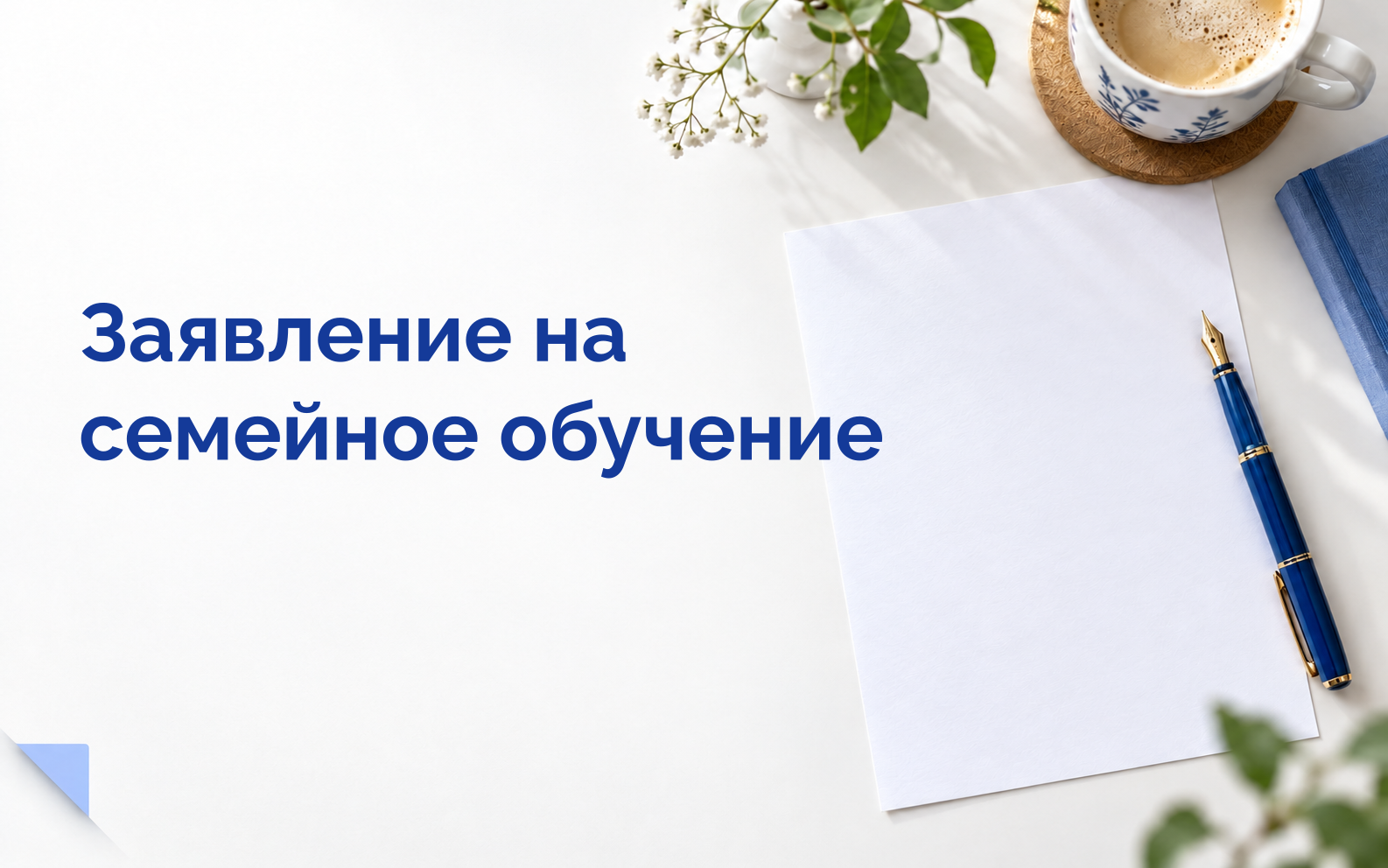 Заявление на семейное обучение